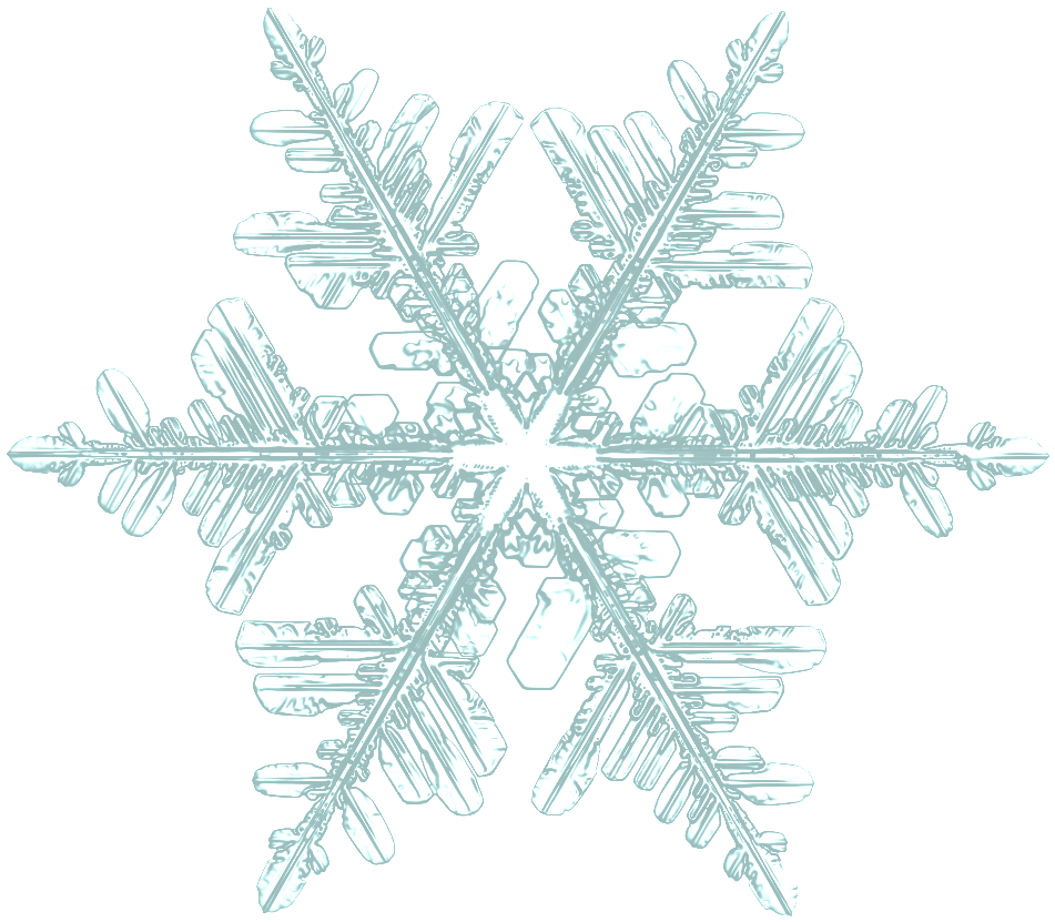 Snowflake Holdings LLC